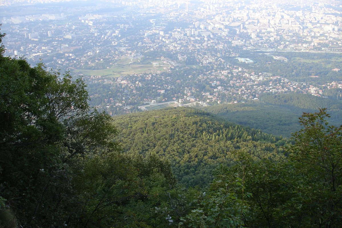 Sofia spread out below Vitosha Mountain, seen from the slopes above the city