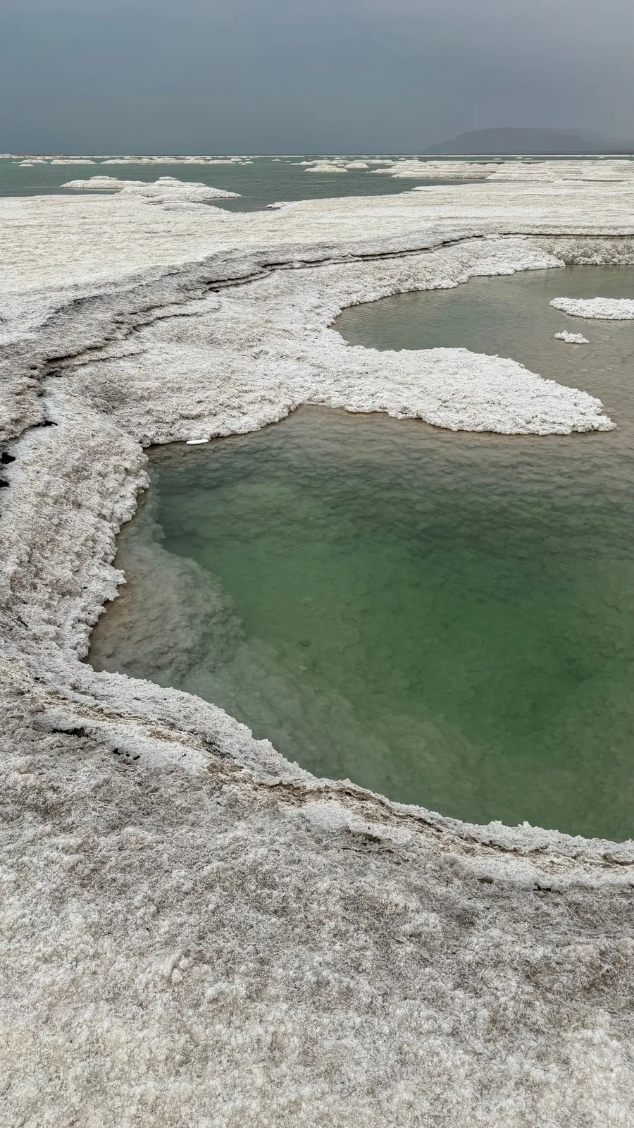 Salt crust and green pools on the Dead Sea shore