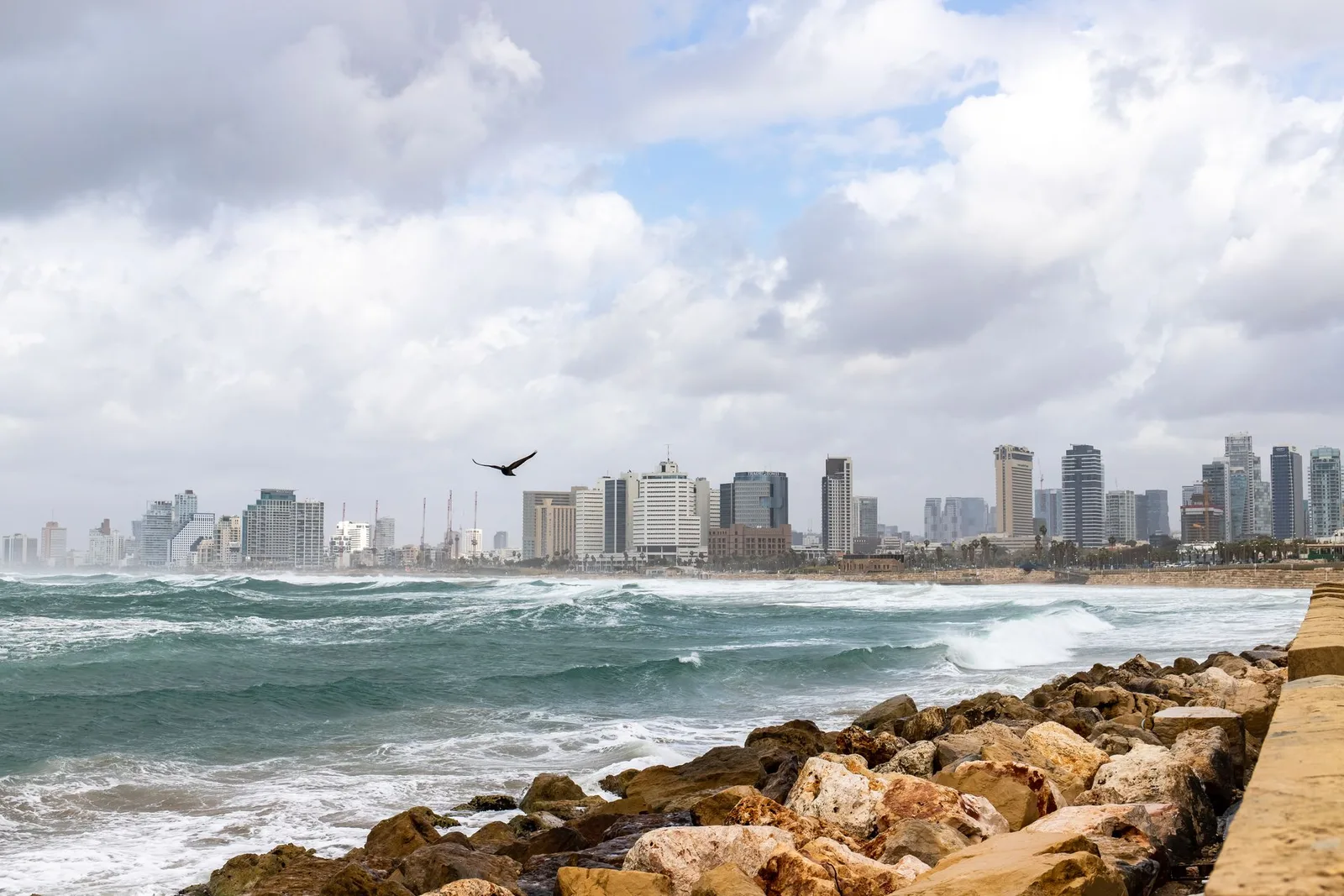 Tel Aviv’s beachfront skyline from the Jaffa side in rough surf