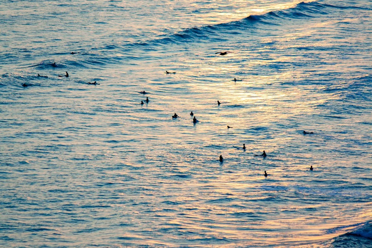 Surfers waiting on gentle Pacific waves in golden evening light