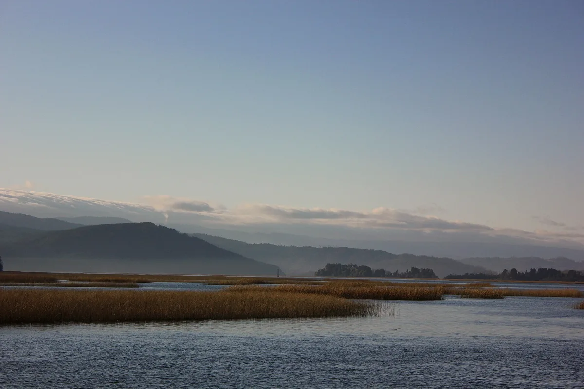 Wetland channels at dusk in the Río Cruces and Chorocamayo sanctuary near Valdivia